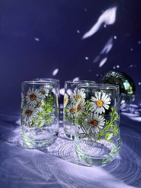 Pair of Vintage Daisy April Flower of the Month Brockway Glass Tumblers 2